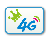 4g流量王
